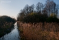 043_Biebrza - kwiecien 2010